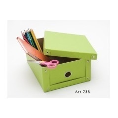 Caja Carton Rigido Color 4-32x20x11 Zapatos