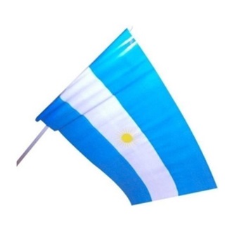 Bandera De Plastico 17x24(12)