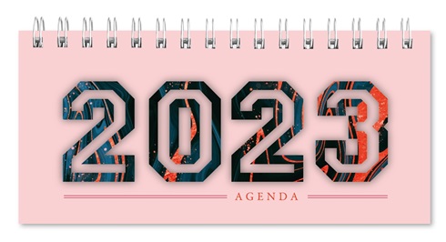 Agenda 2023 Cangini Pocket Espiral Pink