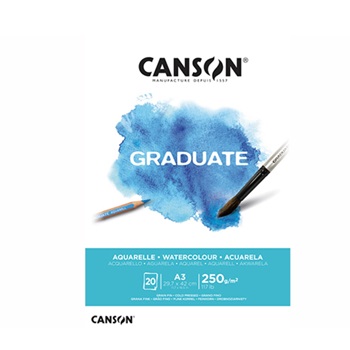 Block Canson A3 Graduate 250grs X 20 Hs