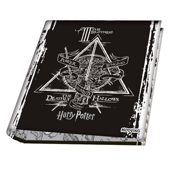 Harry Potter Carpeta A4 2a